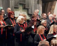 DSC07363 bearbeitet 2